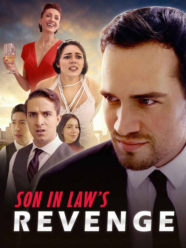 Son in Law's Revenge movie