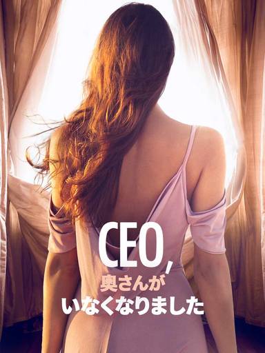 CEO、 奥さんが いなくなりました movie