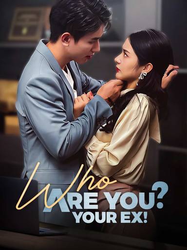 Who Are You? Your Ex! movie