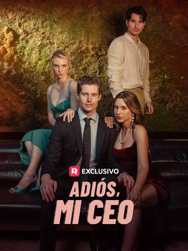 Adiós, Mi CEO movie