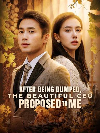 After Being Dumped, the Beautiful CEO Proposed to Me movie