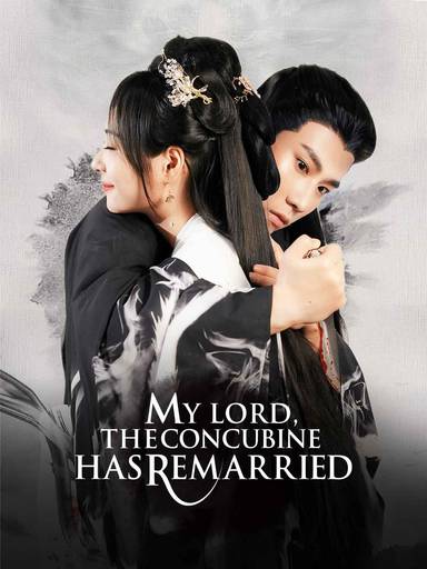 My Lord, The Concubine Has Remarried movie