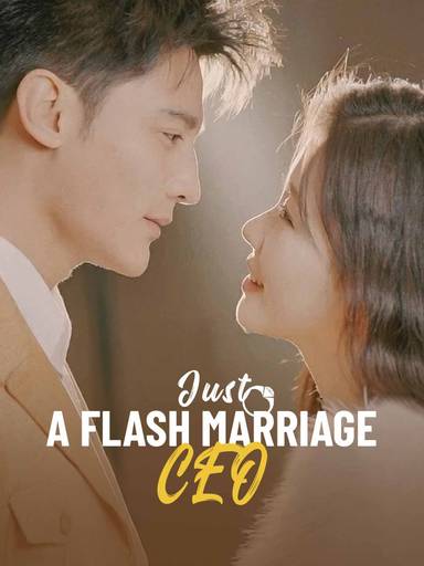 Just A Flash Marriage, CEO movie