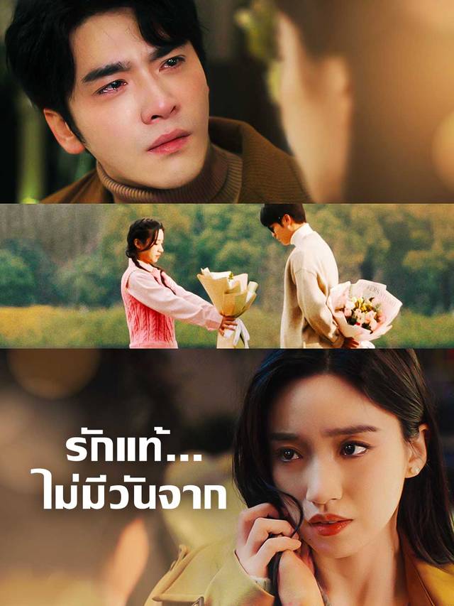 รักแท้...ไม่มีวันจาก movie