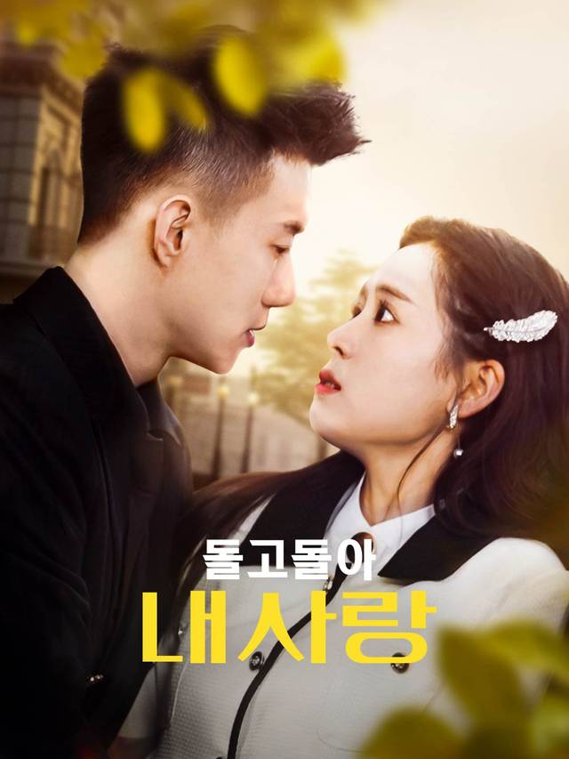 돌고돌아 내사랑 movie