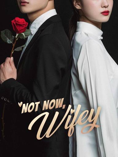 Not Now, Wifey movie