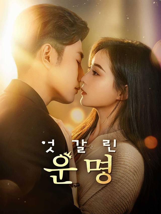 엇갈린 운명 movie