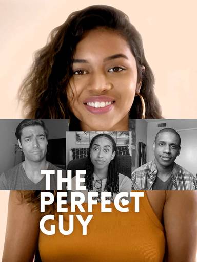 The Perfect Guy movie