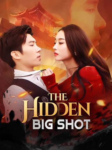 The Hidden Big Shot movie