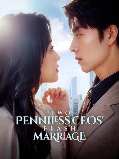 Two Penniless CEOs' Flash Marriage movie