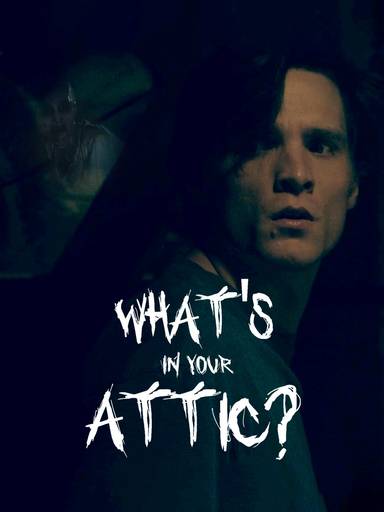 What's In Your Attic? movie