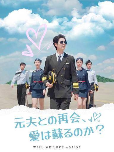 元夫との再会、愛は蘇るのか？ movie