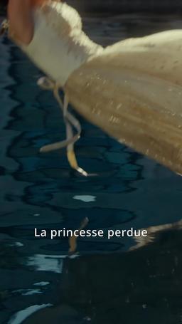 OMG, je suis entourée de trois princes trailer