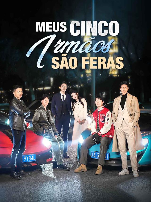 Meus Cinco Irmãos São Feras movie