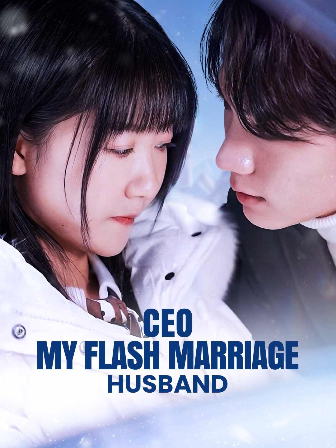 CEO: My Flash Marriage Husband movie