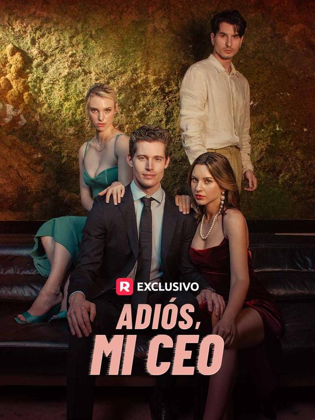 Adiós, Mi CEO movie