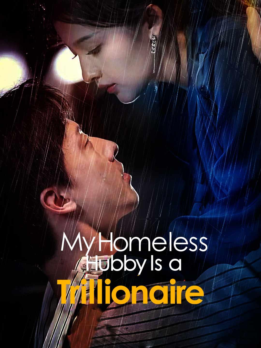 My Homeless Hubby Is a Trillionaire movie