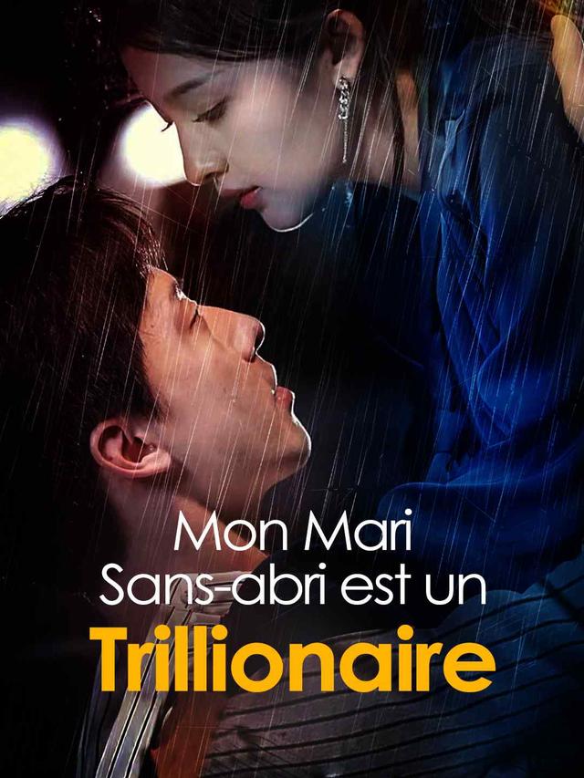 Mon Mari Sans-abri est un Trillionaire movie