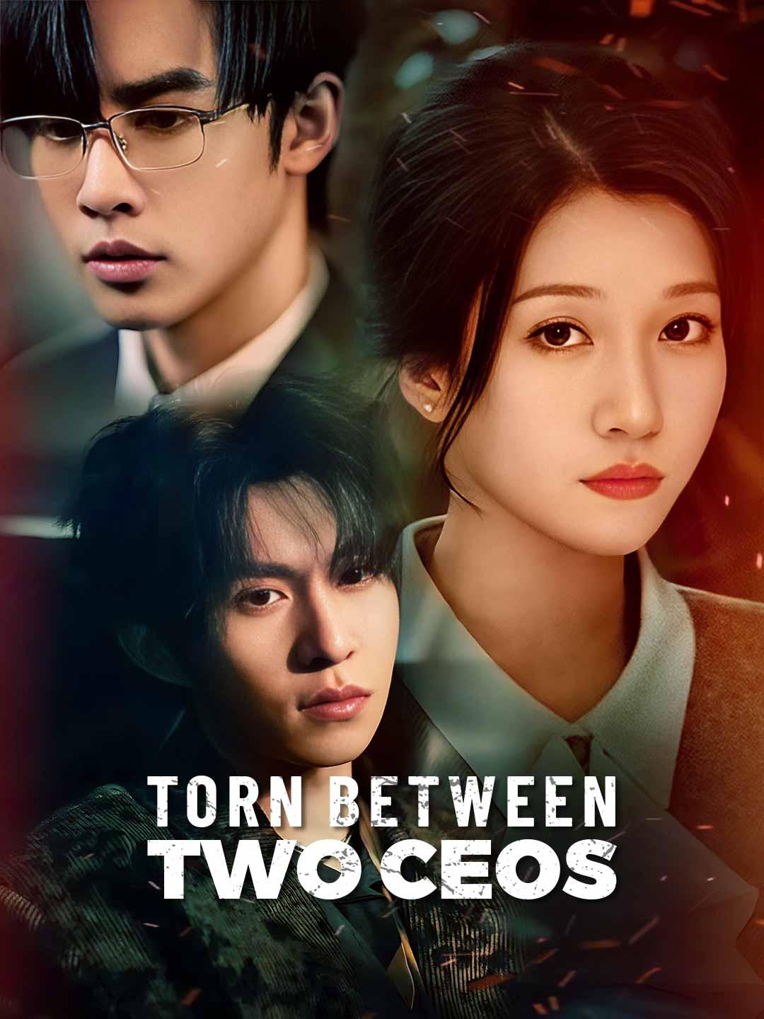 Torn Between Two CEOs movie