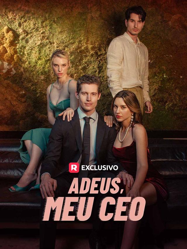 Adeus, meu CEO movie