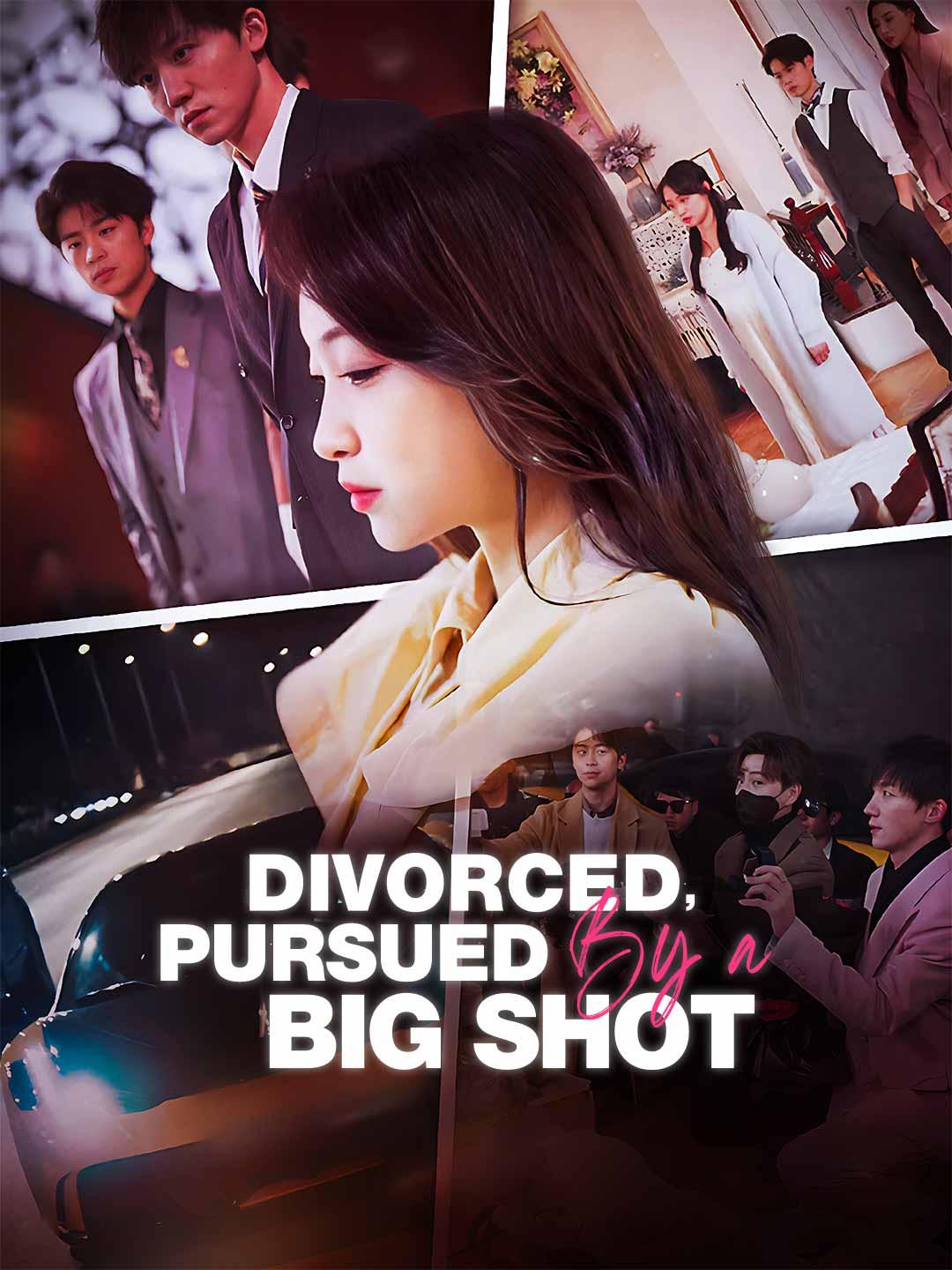 Divorced, Pursued by a Big Shot movie