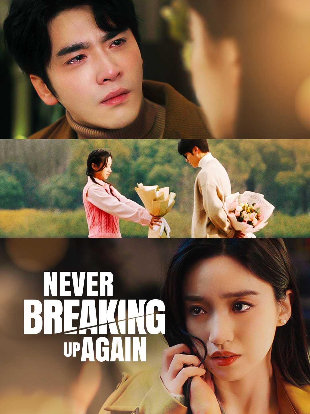 Never Breaking Up Again movie