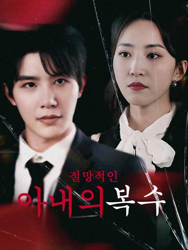 절망적인 아내의 복수 movie