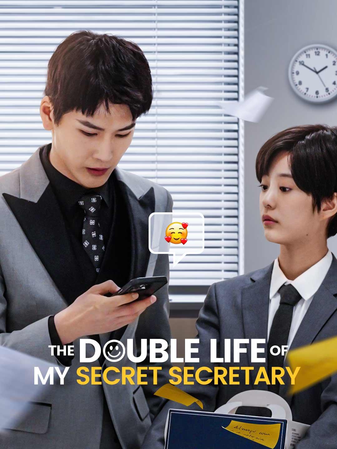 The Double Life of My Secret Secretary movie