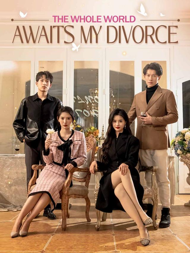 The Whole World Awaits My Divorce movie