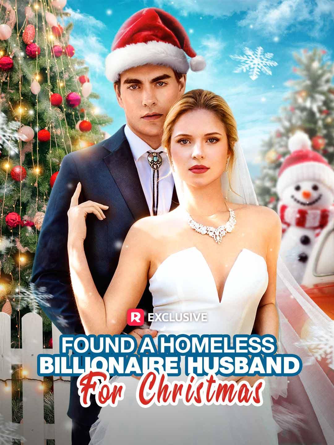 Found A Homeless Billionaire Husband for Christmas