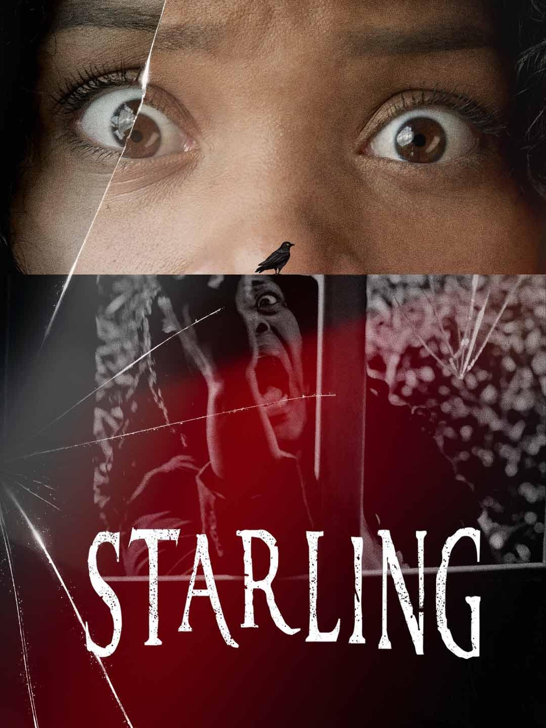 Starling movie